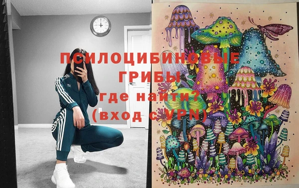 мяу мяу мука Армянск