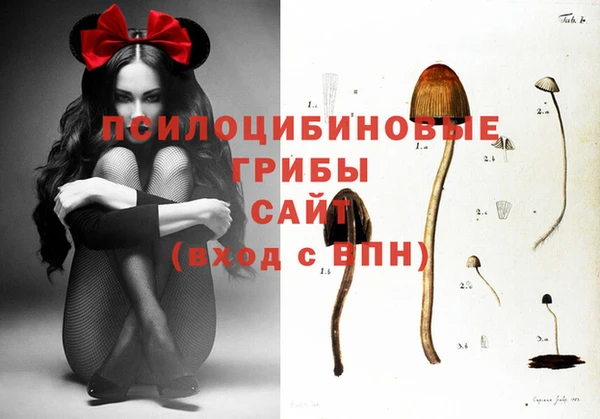 первитин Арсеньев