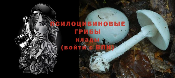 первитин Арсеньев