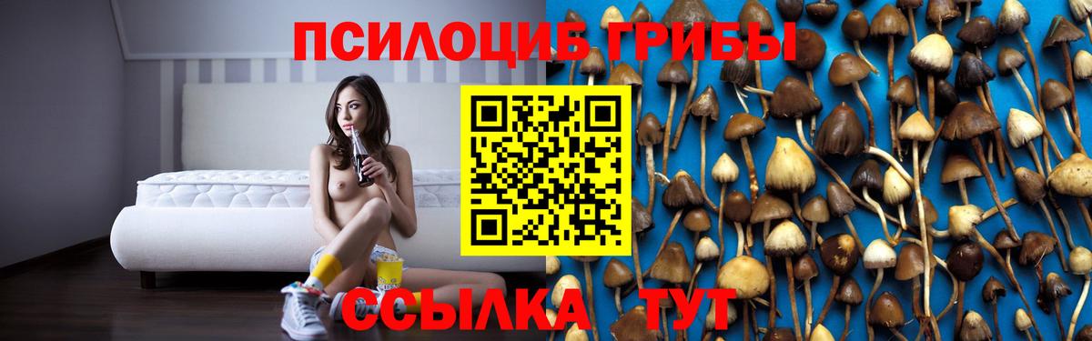 Галлюциногенные грибы прущие грибы Асбест